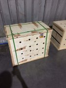 成都至太原金毛犬的發運