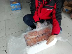 鮮活的貨物為了保證食品的品質，可以通過什么