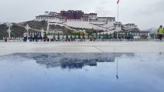 成都至拉薩：緊急時(shí)刻的高效空運(yùn)物流保障